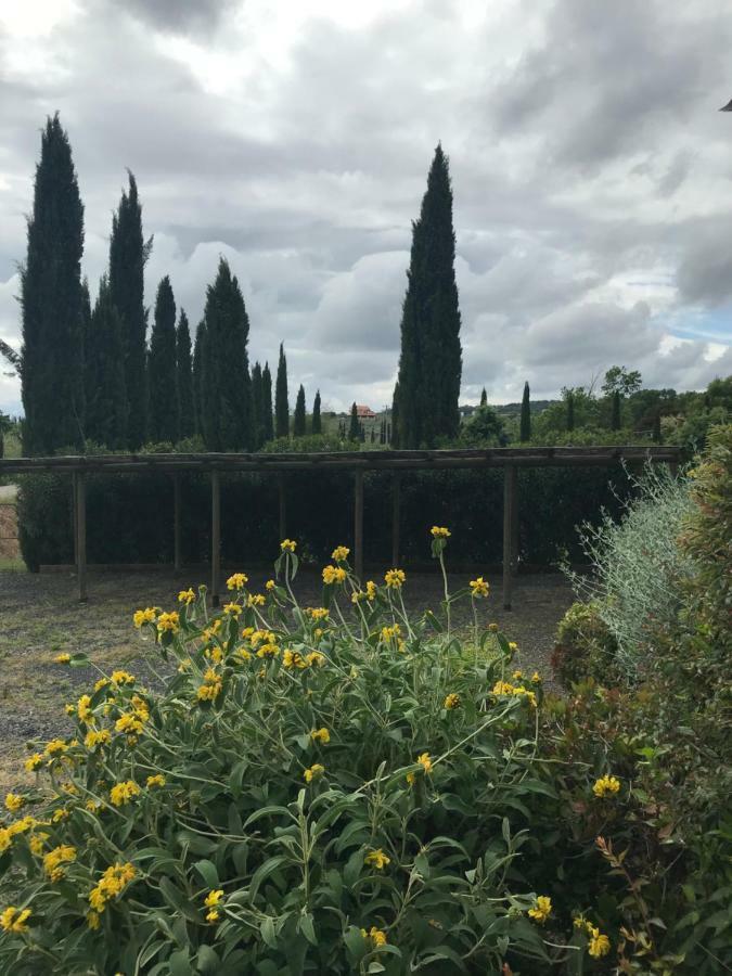 Casa Vacanze "Casale Al Pino" Riparbella Kültér fotó